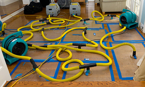 Professional Basement Flood Cleanup technician working in Holderness, NH